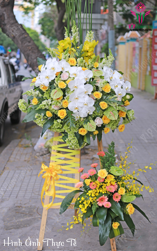Hoa Khai Trương tại Thuận An