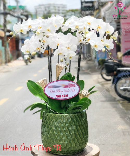 hoa tươi quy nhơn