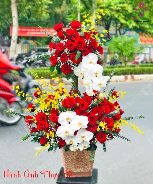 Shop Hoa Cao Lãnh