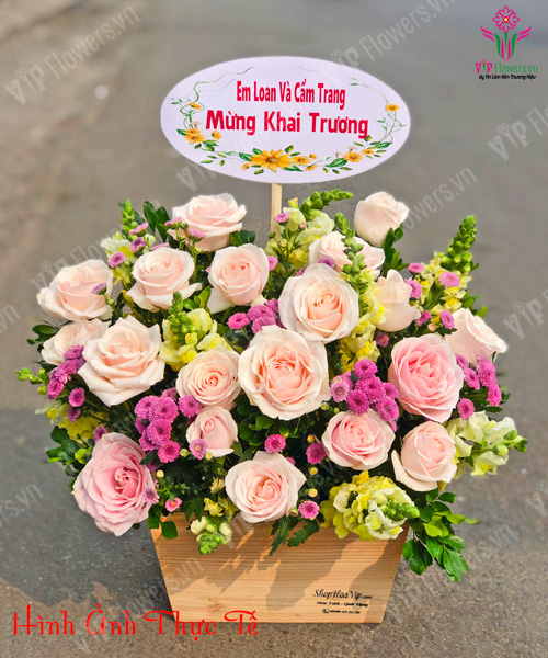Shop hoa tươi Sóc Trăng - Đặt Hoa Giao Nhanh Toàn Tỉnh 56 Shop hoa tươi Sóc Trăng