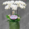 Đại Thắng Lợi