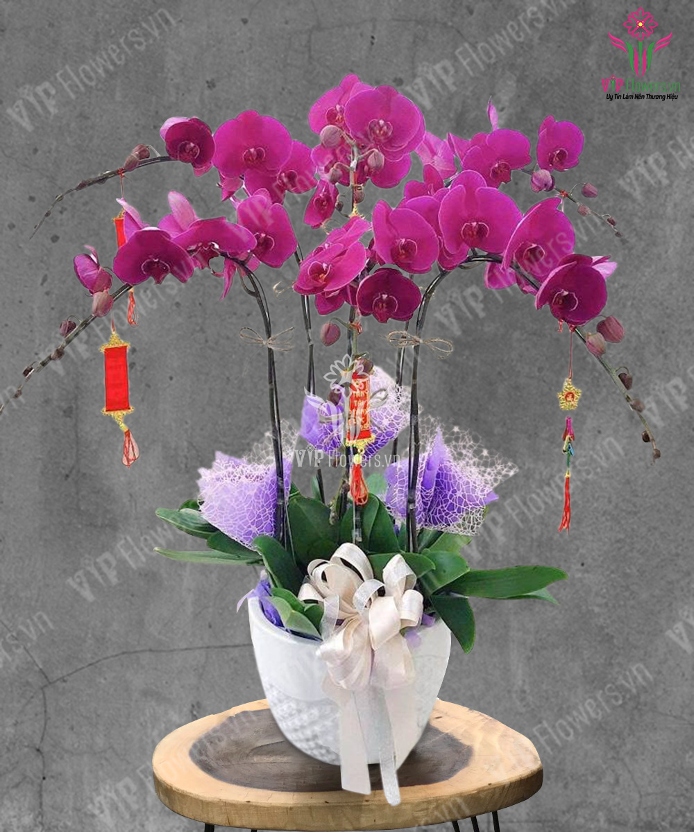 May Mắn Ngập Tràn