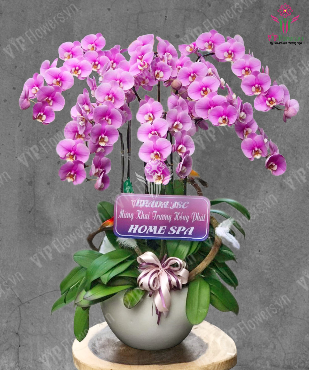 Ngày Trong Xanh