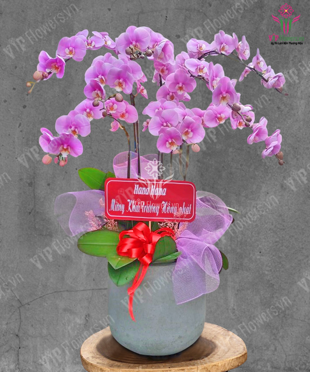 Như Ý Phát Tài