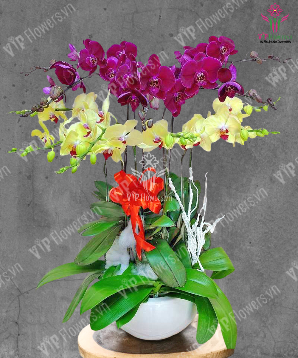 Phúc Lộc Thọ Toàn