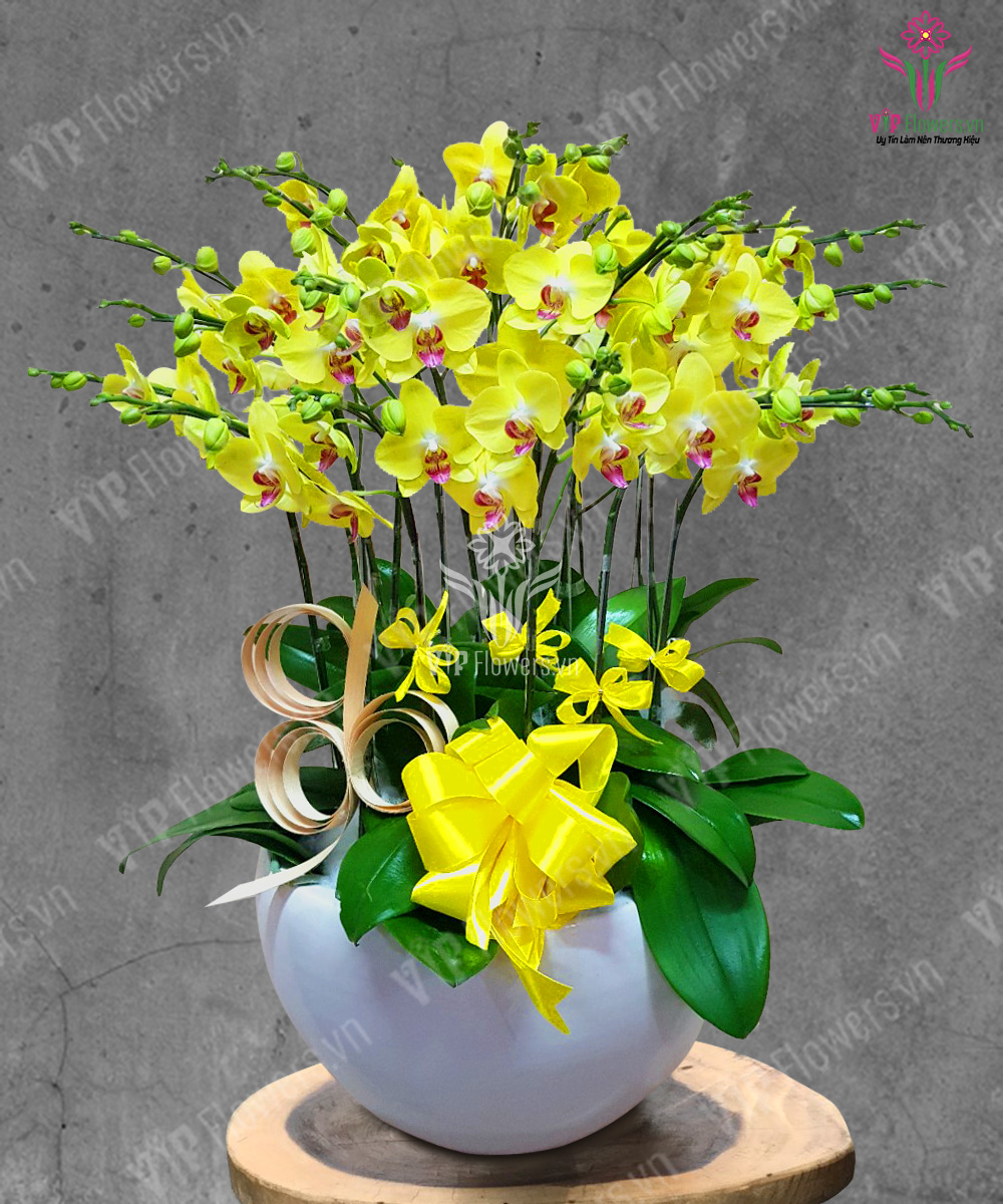 Rước Lộc Đầu Năm