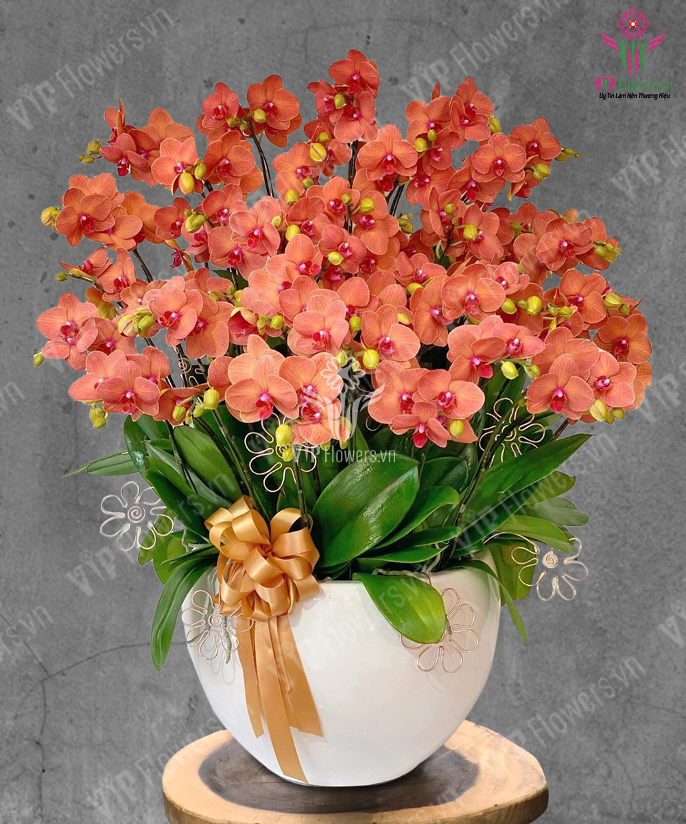 Rước Lộc Vào Nhà