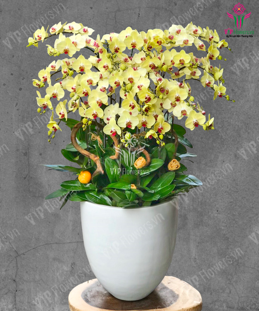 Rước May Đầu Năm