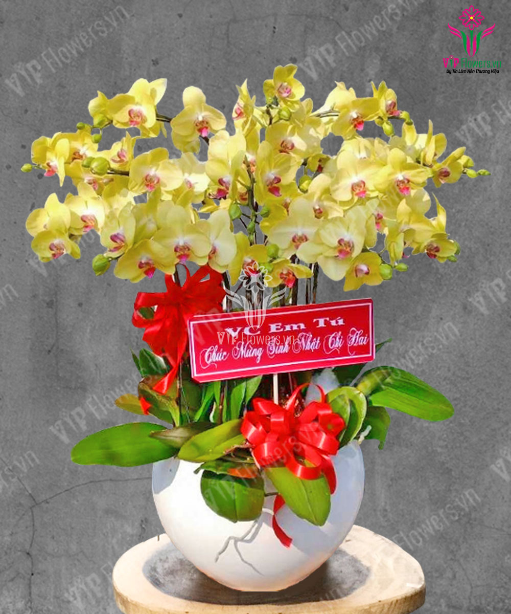 Thịnh Vượng