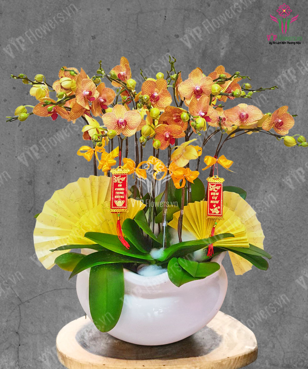 Tiến Lên Phía Trước