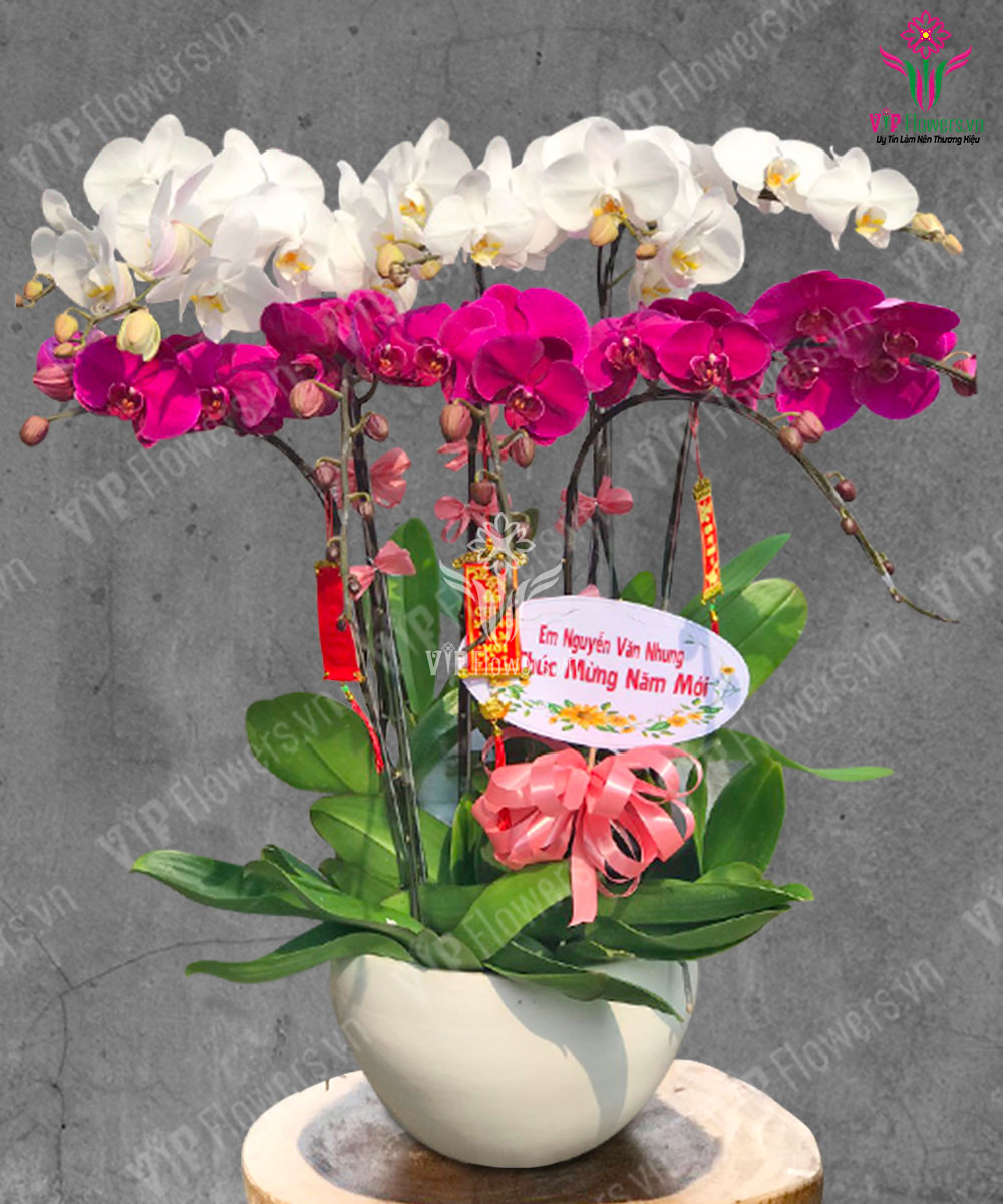 Chí Hướng