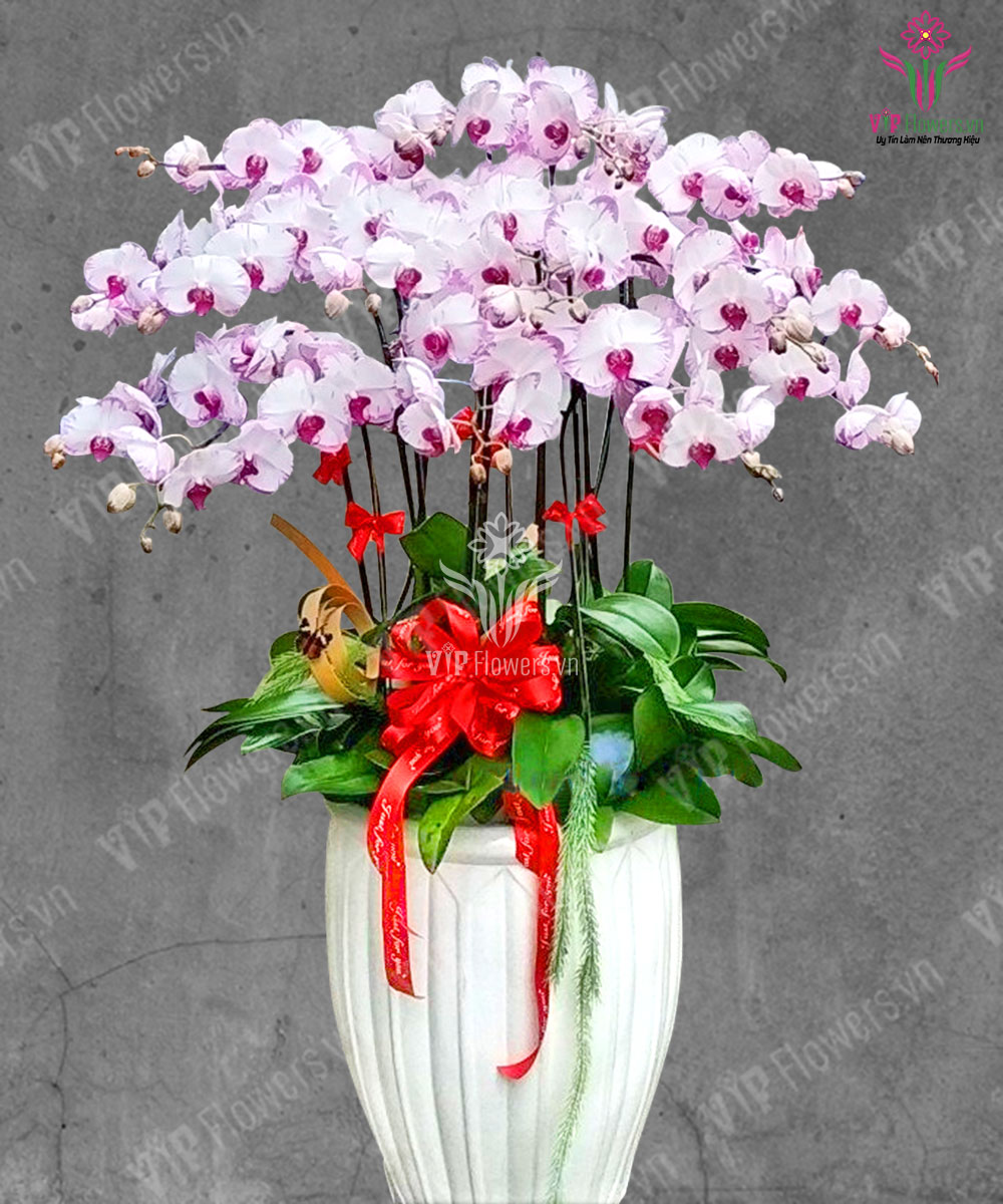 Thành Công Mỹ Mãn