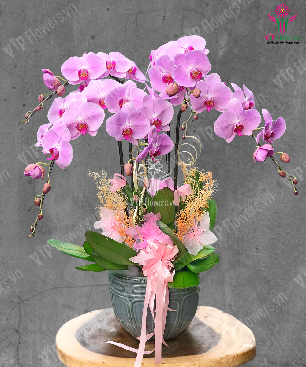 Tiền Vào Như Nước