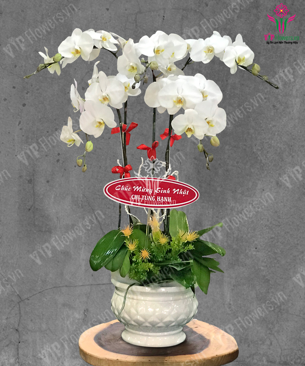 Ánh Ban Mai Rực Rỡ