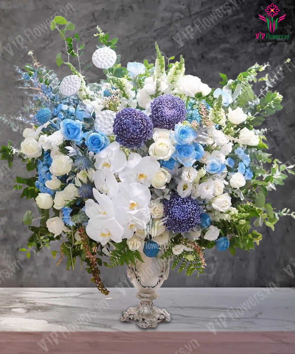 Ước Mơ Xanh