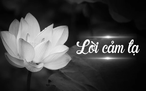 1 Vài Gợi Ý Lời Cảm Tạ Sau Tang Lễ 1 1 Số Gợi Ý Mẫu Lời Cảm Tạ Sau Tang Lễ