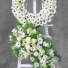Nhớ Thương T474