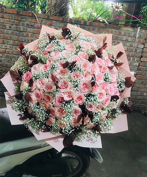 Bồng Bềnh Ngày Vui T1012
