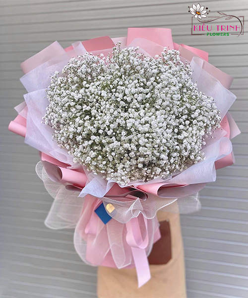 Tình Đỏ Xinh T1015