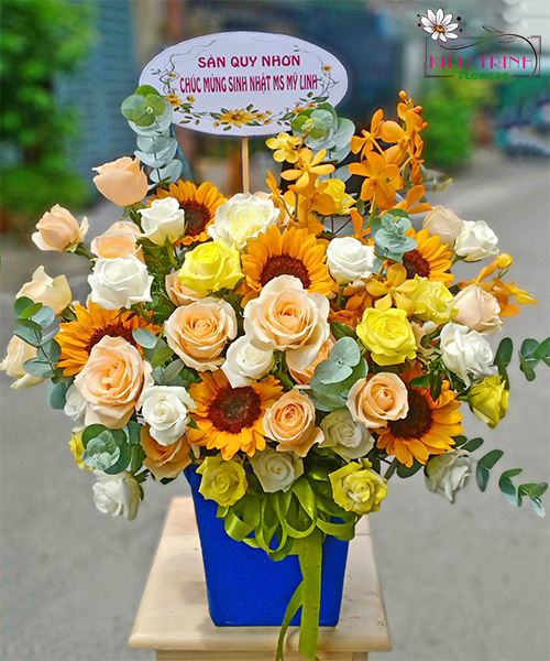 Điều Lãng Mạn T1051