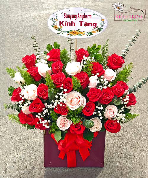 Tin Yêu T1055