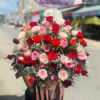 Niềm Vui Đong Đầy G113