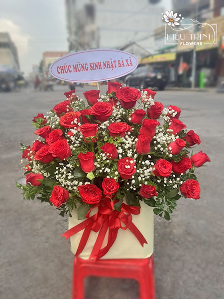 Sắc Màu Ngày Mới G131