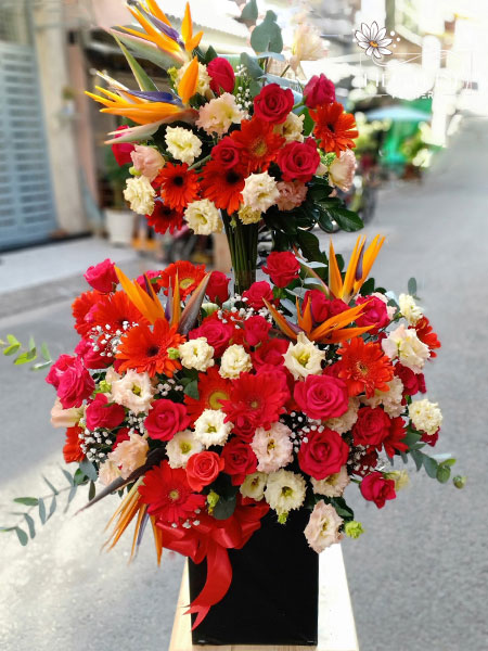 Niềm Vui Mới G134