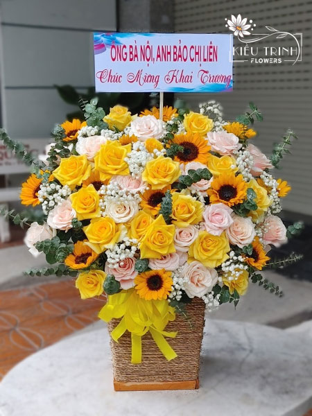 Sức Khoẻ Dồi Dào G146