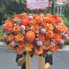 Giấc Mơ Tuyết Trắng G154