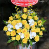 Ánh Dương G182