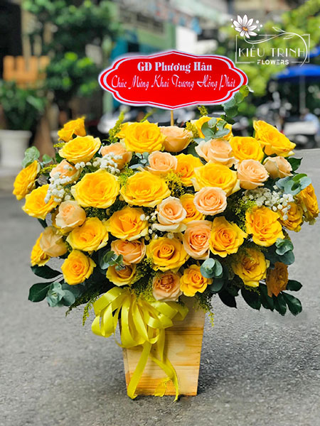 Sắc Màu Ngày Mới G191