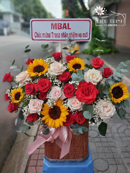 Sánh Đôi G205