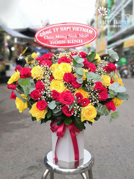 Sức Khoẻ Dồi Dào G206