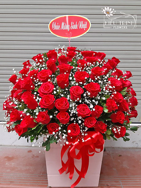 Rực Rỡ Sắc Nắng G210