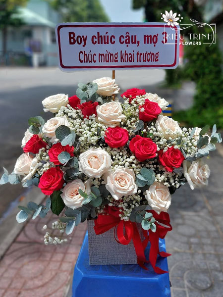 Giấc Mơ Tuyết Trắng G214
