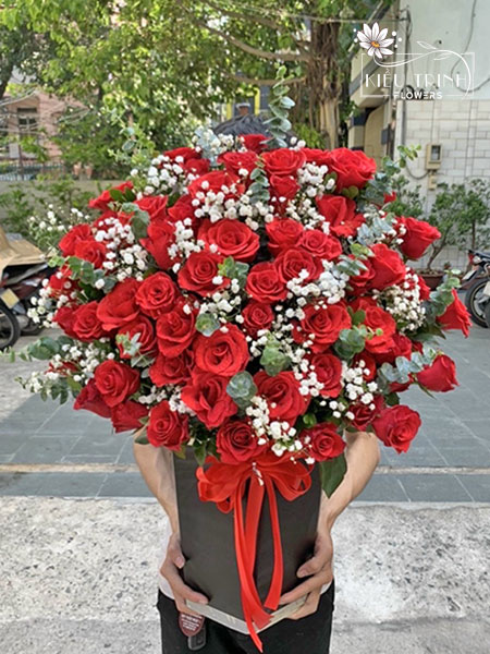 Hoa Mặt Trời G220