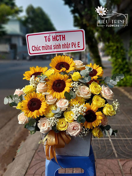 Sương Mai G230