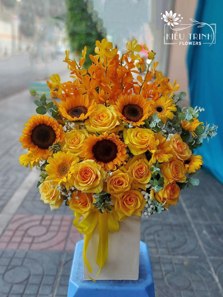 Lời Chưa Nói G241
