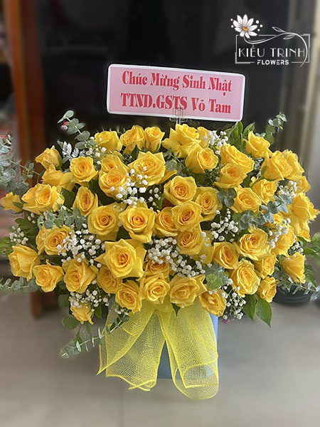 Sắc Màu Ngày Mới G251