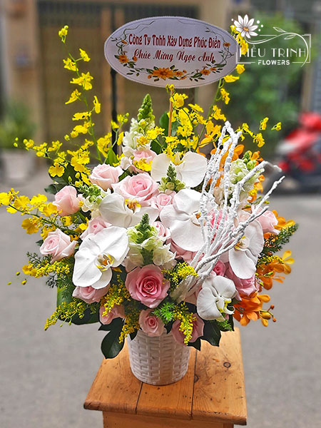 May Mắn G255
