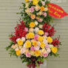 Sức Khoẻ Dồi Dào G266