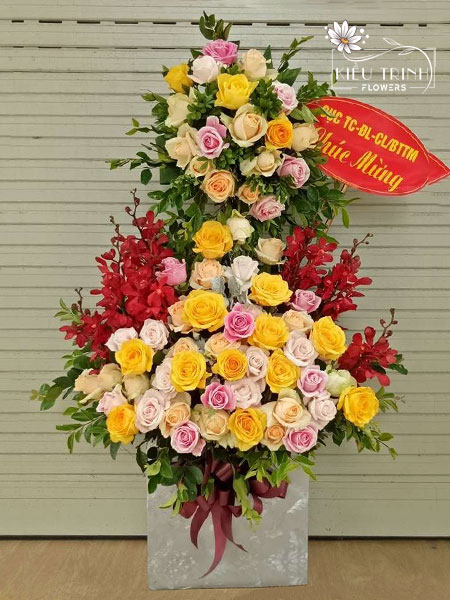 Sức Khoẻ Dồi Dào G266