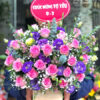 Giấc Mơ Xanh G275