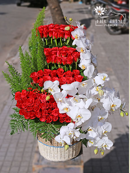Sức Sống Mới G286