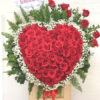 Niềm Vui Đong Đầy G293