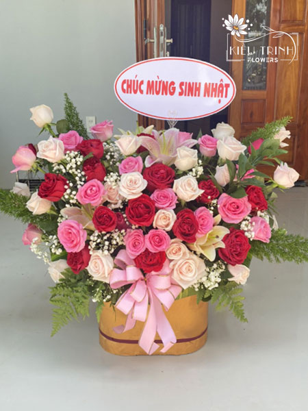 Giấc Mơ Nhỏ Bé G331
