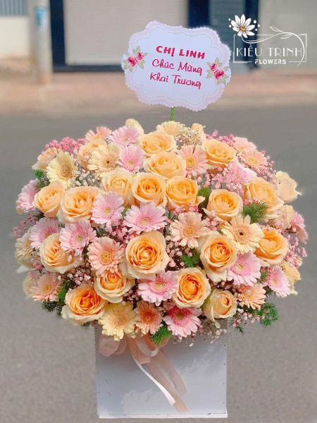 Tuổi Mới Thành Công G347