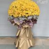 Ánh Dương Rực Sáng B228