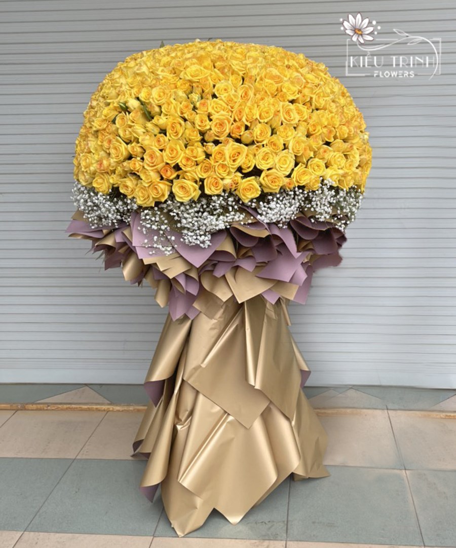 Ánh Dương Rực Sáng B228